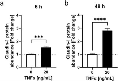 Capsaicin attenuates the effect of inflammatory cytokines in a HaCaT cell model for basal keratinocytes